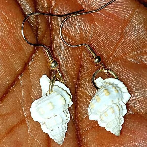 Beautiful seashell dangle earrings for girls and women - Picture 3 of 5